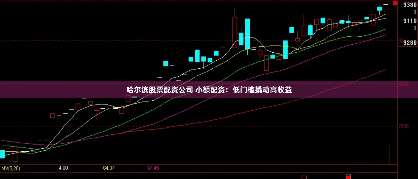 哈尔滨股票配资公司 小额配资：低门槛撬动高收益