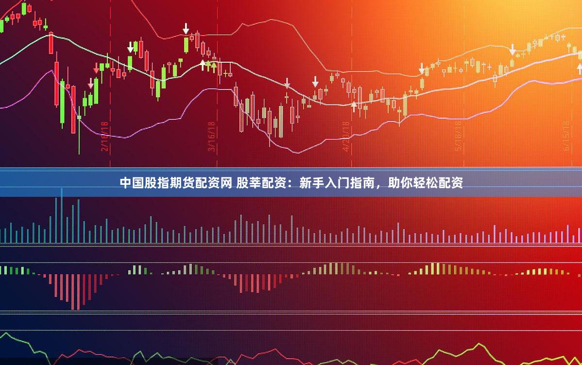 中国股指期货配资网 股莘配资：新手入门指南，助你轻松配资